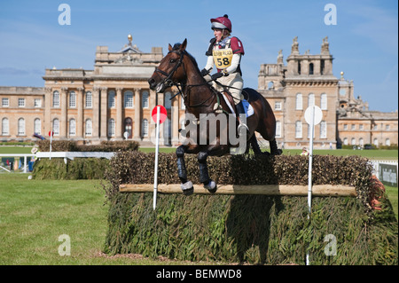 Un competitore salta un recinto durante il 2009 Blenheim Horse Trials, Il Palazzo di Blenheim, Woodstock, Oxfordshire, England, Regno Unito Foto Stock