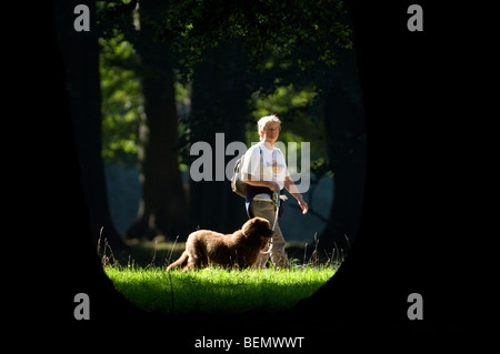 Donna che cammina con cane (Canis lupus familiaris) nella foresta, Danimarca Foto Stock