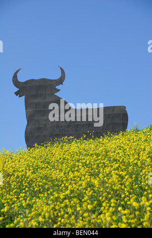 Osborne Bull cielo azzurro fiori gialli simbolo icona della Spagna. Ubicazione Andalucia Foto Stock