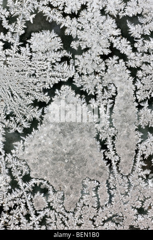 I cristalli di ghiaccio / frost fiori sulla formazione congelata nel riquadro della finestra durante la brina nel freddo inverno Foto Stock
