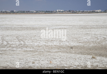 Larnaca saline in larnaka Salt Lake repubblica di Cipro in Europa Foto Stock