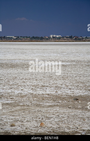 Larnaca saline in larnaka Salt Lake repubblica di Cipro in Europa Foto Stock