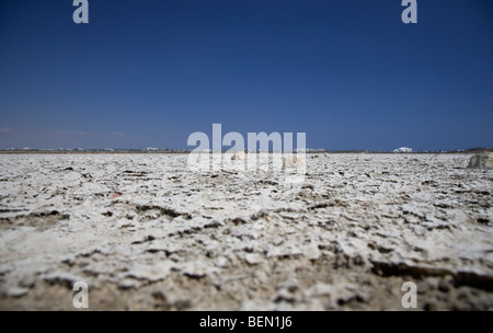 Larnaca saline in larnaka Salt Lake repubblica di Cipro in Europa Foto Stock