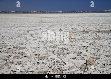 Larnaca saline in larnaka Salt Lake repubblica di Cipro in Europa Foto Stock