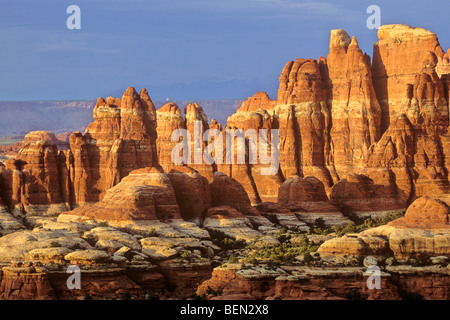 Pinnacoli di arenaria al tramonto con La Sal Mountains in background, da Chesler Park presso il Parco Nazionale di Canyonlands, Utah, Stati Uniti d'America Foto Stock