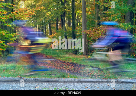Gli amanti della mountain bike / i ciclisti in autunno la foresta, Belgio Foto Stock