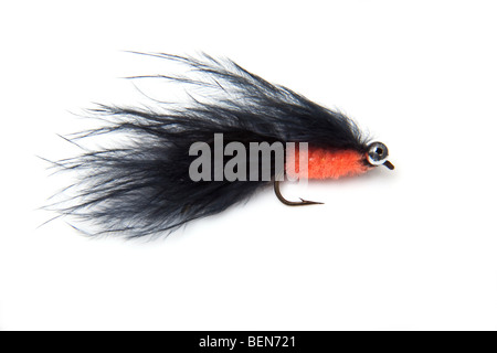 Gatti Whiskers trout fly isolato su un bianco di sfondo per studio. Foto Stock