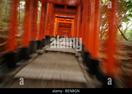 Torii fodera sul sentiero che conduce al monte Inari, una volta che il santuario interno è stato lasciato alle spalle. Fushimi Inari Santuario. Protocollo di Kyoto Foto Stock