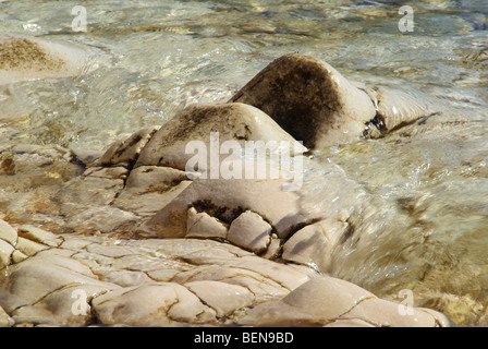Kiesel am Strand - pebble sulla spiaggia 14 Foto Stock