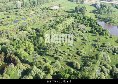 Superficie boschiva, zone umide e reedland dall'aria, Demerbroeken riserva naturale, Belgio Foto Stock