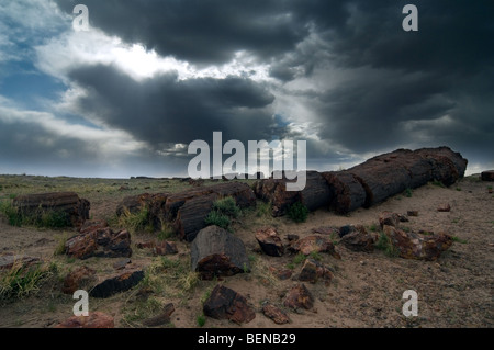 Legno pietrificato e tempesta nuvole sopra il deserto del Deserto Dipinto e il Parco Nazionale della Foresta Pietrificata, Arizona, USA Foto Stock