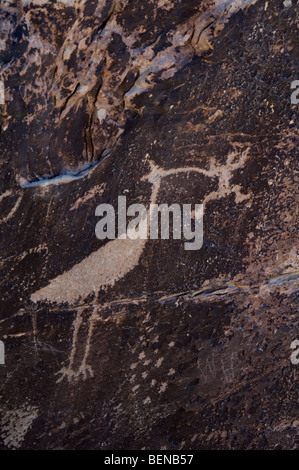 Indiano antico petroglifi spirituale nella roccia vicino Puerco Pueblo, Parco Nazionale della Foresta Pietrificata, Arizona, Stati Uniti d'America Foto Stock