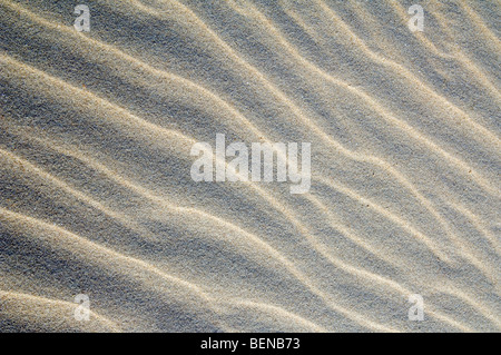 Configurazione astratta della sabbia di mare le ondulazioni formate dal vento nelle dune lungo la costa Foto Stock