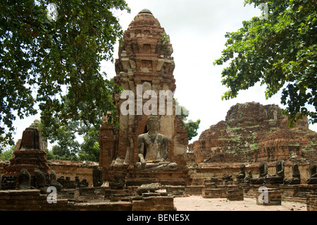 Wat Mahathat, Ayutthaya, Thailandia Foto Stock