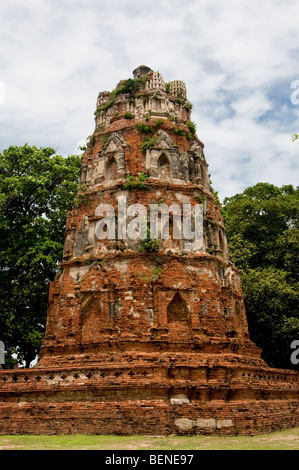 Wat Mahathat, Ayutthaya, Thailandia Foto Stock