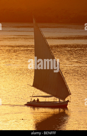 Tradizionale in legno barca a vela feluca al tramonto sul fiume Nilo vicino a Aswan, Egitto, Nord Africa Foto Stock