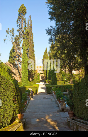 Un viale nei giardini di Villa D'Este, Tivoli, Italia. Foto Stock