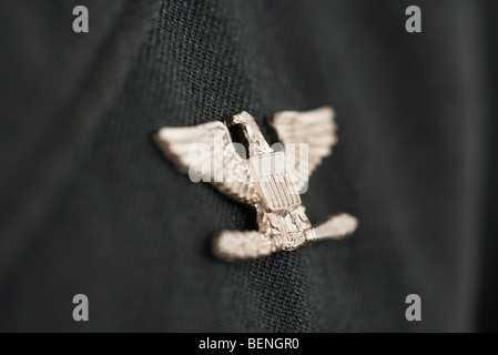 Il colonnello insegne, eagle pin militare Foto Stock