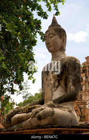 Wat Mahathat, Ayutthaya, Thailandia Foto Stock