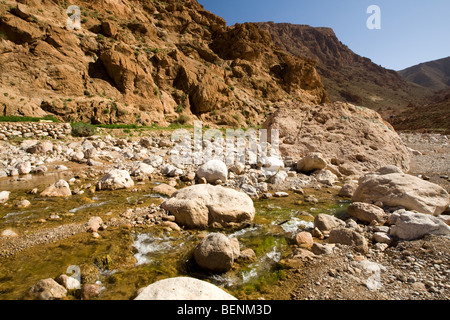 Tadra Gorge, Marocco Foto Stock