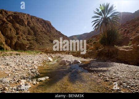 Tadra Gorge, Marocco Foto Stock