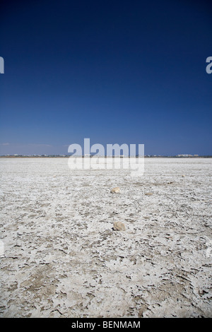 Larnaca saline in larnaka Salt Lake repubblica di Cipro in Europa Foto Stock