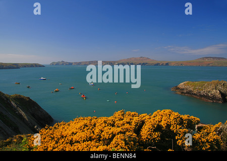 Ramsey Suono e Ramsey Island da St Justinians su Il Pembrokeshire Coast, Wales, Regno Unito Foto Stock