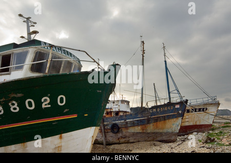 Relitti del vecchio trawler barche da pesca nel porto di Camaret-sur-Mer Finistère Bretagna, Francia Foto Stock
