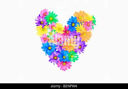 Cuore di margherite,intaglio, isolato su sfondo bianco Foto Stock