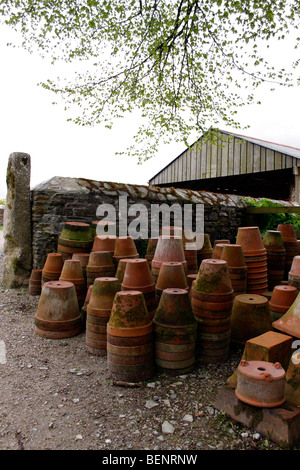 Vasi di terracotta in un vecchio giardino inglese. Foto Stock