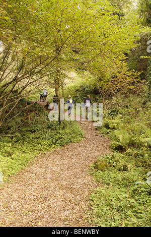 Ebbor Gorge Somerset su Mendip Hills i visitatori a piedi attraverso il burrone vicino Priddy in autunno Foto Stock