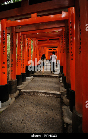 Torii fodera sul sentiero che conduce al monte Inari, una volta che il santuario interno è stato lasciato alle spalle. Fushimi Inari Santuario. Protocollo di Kyoto Foto Stock