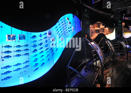 Interno del National Sea Centre Nausicaä, Boulogne-sur-Mer, Pas-de-Calais, Francia Foto Stock