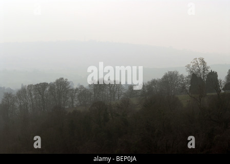 Leigh Woods, Ashton Court station wagon, Bristol, Regno Unito. Foto Stock