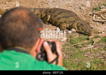 Uomo di fotografare un coccodrillo da una barca sul fiume Chobe. Chobe National Park, Botswana, Africa. Foto Stock