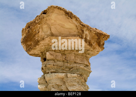 El Hongo - Il fungo, parco regionale di Ischigualasto, Valle de la Luna - Valle della Luna, San Juan Provincia, Argentina Foto Stock