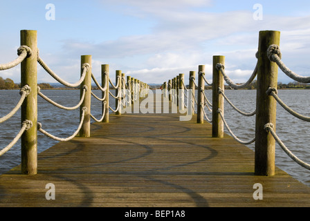 Oxford isola riserva naturale, Lough Neagh, nella contea di Armagh, Irlanda del Nord, Regno Unito. Foto Stock