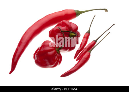 Una selezione di red chilis isolati su sfondo bianco tra cui percorso di clipping. Foto Stock