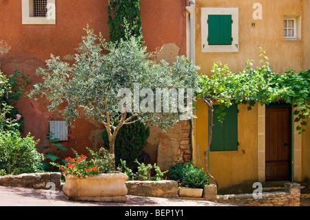 Ocra delle case colorate con tendine, Roussillon, Provenza, Vaucluse, Provence-Alpes-Côte d'Azur, in Francia Foto Stock