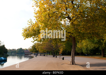 La passeggiata lungo il lago a serpentina in Hyde Park in autunno, London, Westminster SW1, Regno Unito Foto Stock