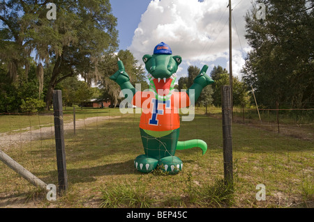 Il coccodrillo gonfiabile mascotte della University of Florida Gators Foto Stock