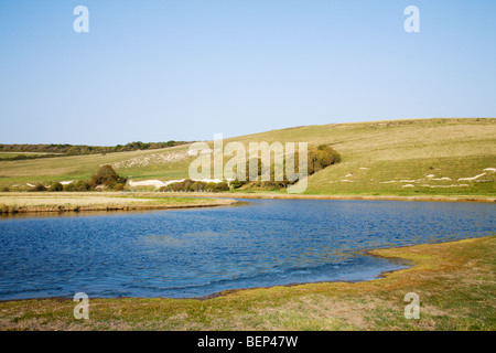 Il fiume Cuckmere nel Cuckmere Valley, Sussex, Inghilterra, Regno Unito. Foto Stock