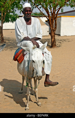 Uomo Nubiano in thawb / / thobe dishdasha su un asino (Equus asinus), Sudan, Nord Africa Foto Stock