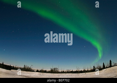 Luci del nord, aurora boreale, shine verde sopra la tundra del Northern Manitoba durante una frigida febbraio. Foto Stock