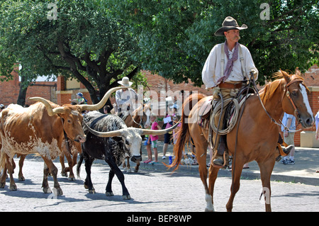 Il Cattle Drive con cowboy a Stockyards a Fort Worth, Texas, Stati Uniti d'America Foto Stock