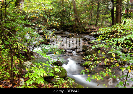 Roaring Fork Creek, Great Smoky Mountains National Park, Tennessee Foto Stock