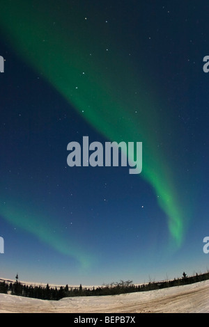 Big Dipper può essere visto mentre le luci del nord, aurora boreale, brillano sopra verde tundra in Northern Manitoba durante il periodo invernale Foto Stock