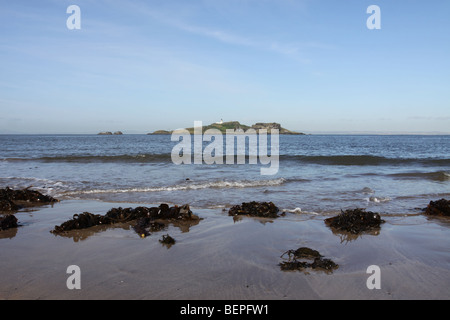 Isola di fidra vicino a North Berwick, East Lothian, Scozia ottobre 2009 Foto Stock