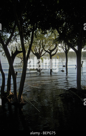 GUATEMALA lago Atitlan, come visto da San Pedro La Laguna. Foto di SEAN SPRAGUE 2009 Foto Stock