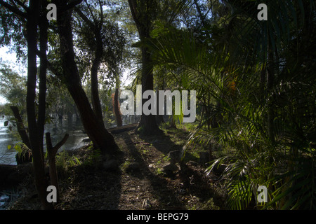 GUATEMALA lago Atitlan, come visto da San Pedro La Laguna. Foto di SEAN SPRAGUE 2009 Foto Stock